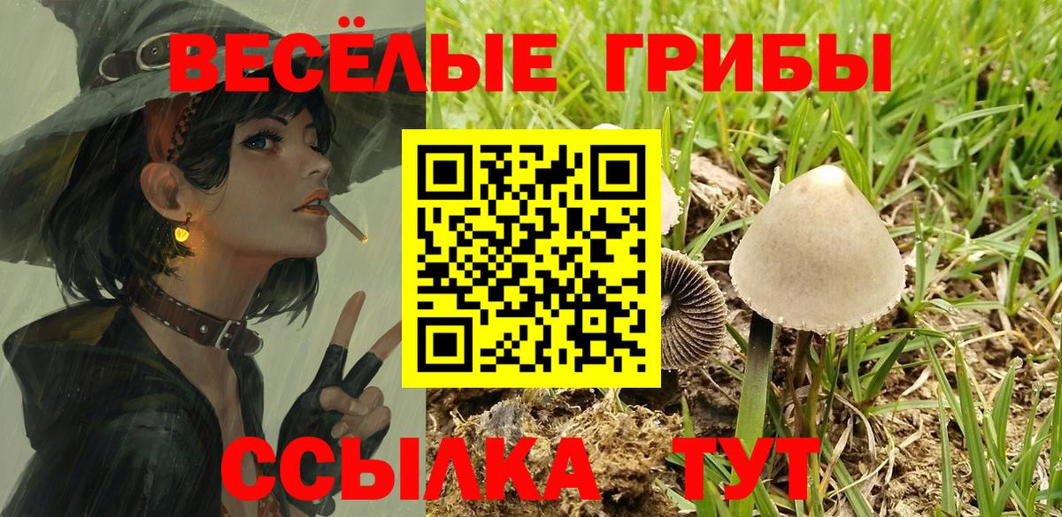 Псилоцибиновые грибы MAGIC MUSHROOMS  Вход с VPN  Галлюциногенные грибы мицелий  Моршанск 