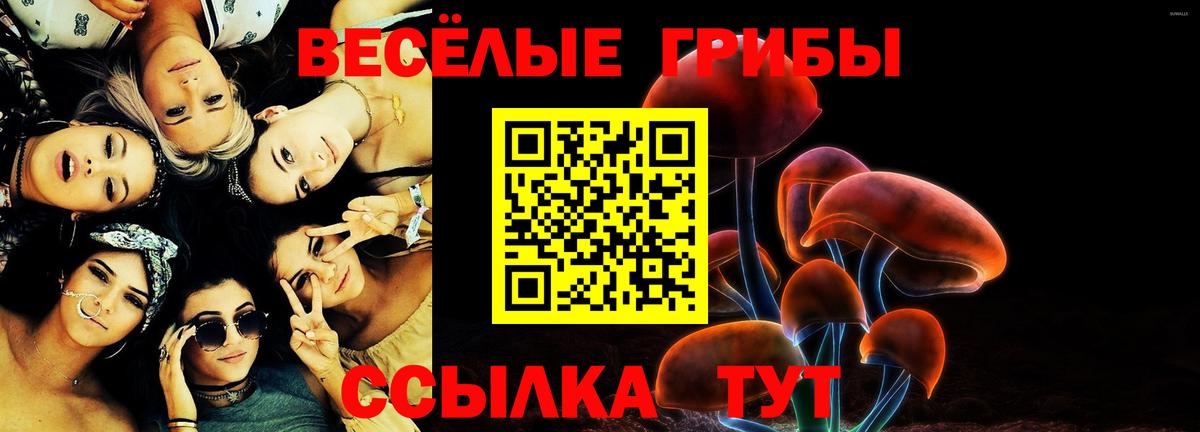 Псилоцибиновые грибы ЛСД Моршанск